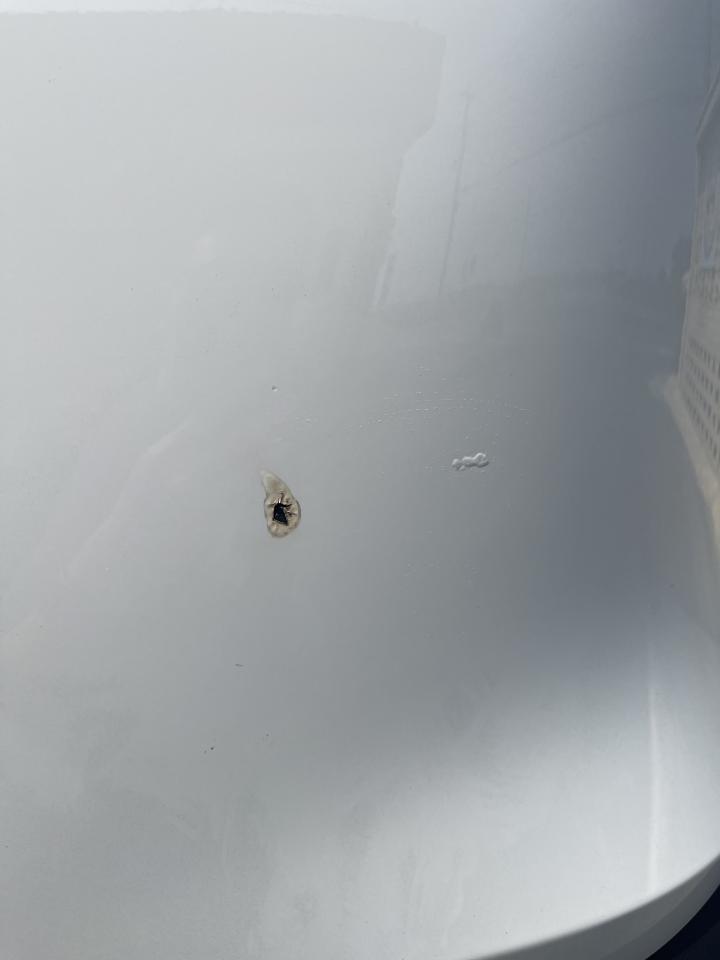 汽車板金烤漆案件圖片