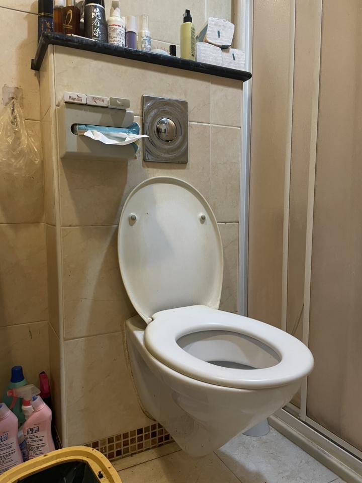 馬桶裝修案件圖片