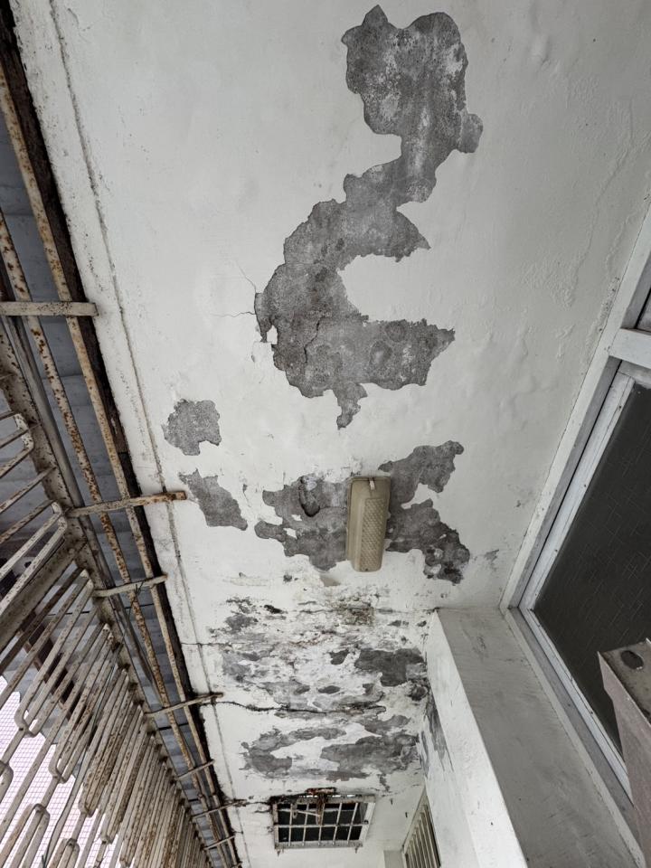 壁紙施工案件圖片