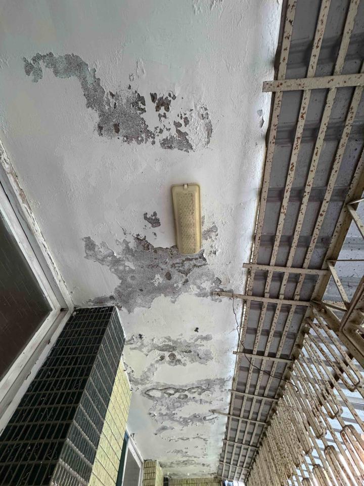 油漆工程案件圖片