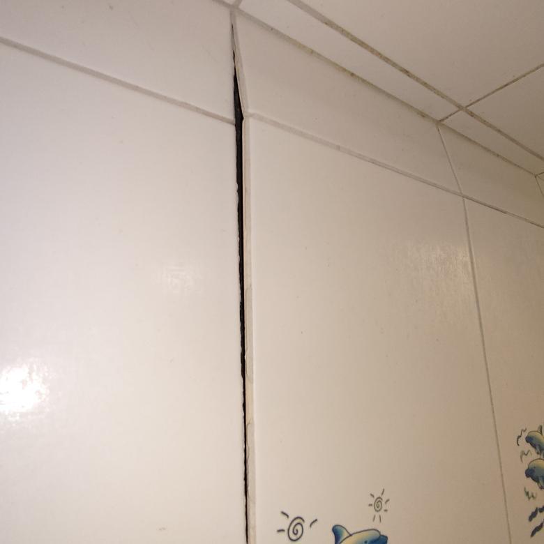 矽利康工程案件圖片