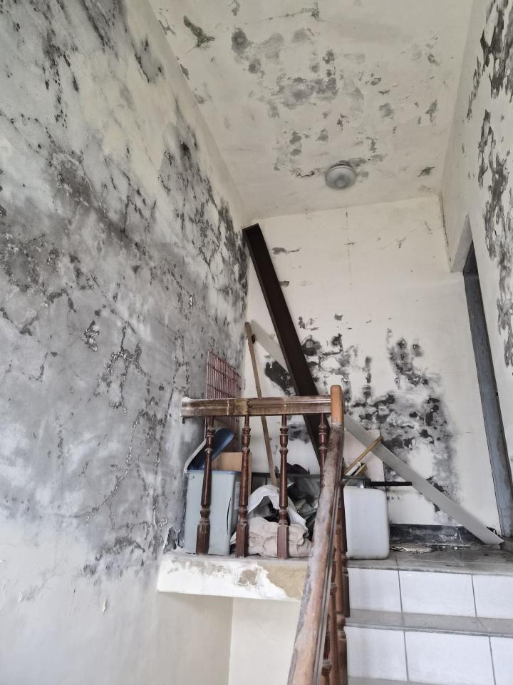 油漆工程案件圖片