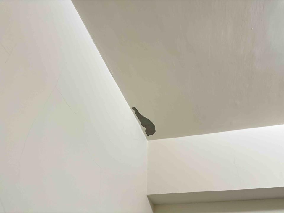 油漆工程案件圖片