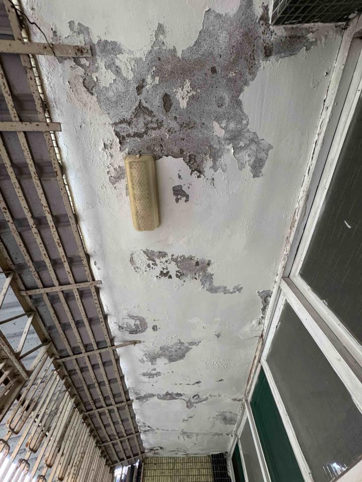 油漆工程案件圖片