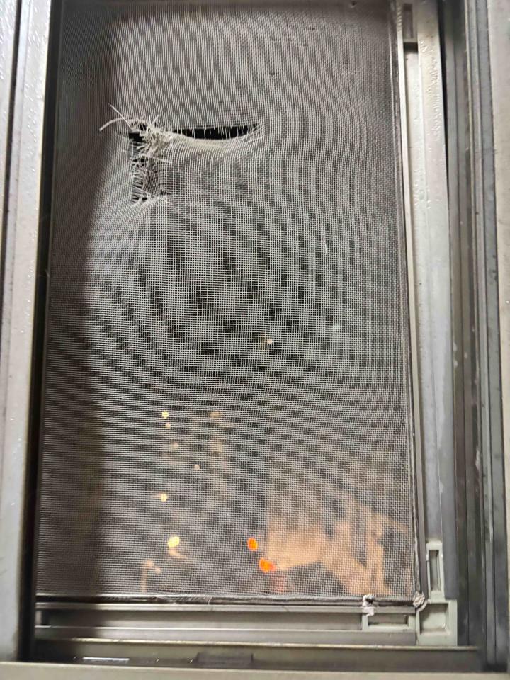 紗窗裝修案件圖片