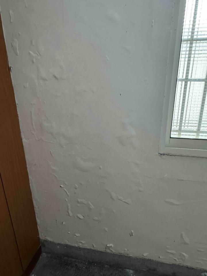 油漆工程案件圖片