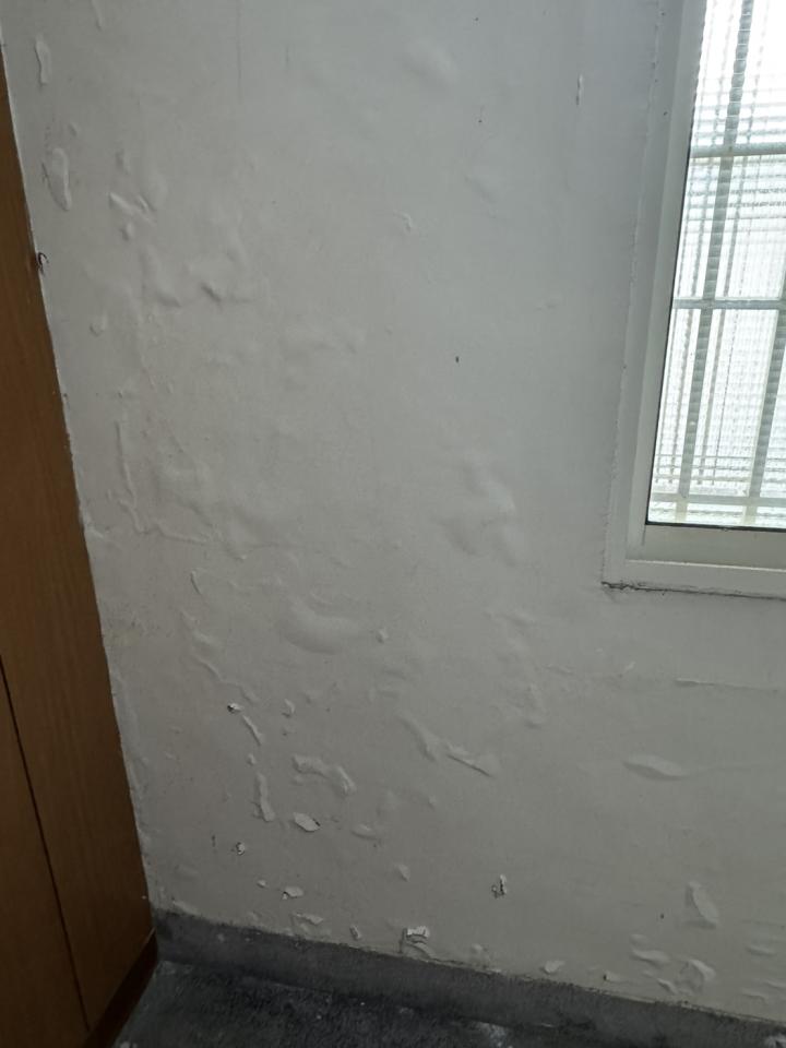 壁紙施工案件圖片