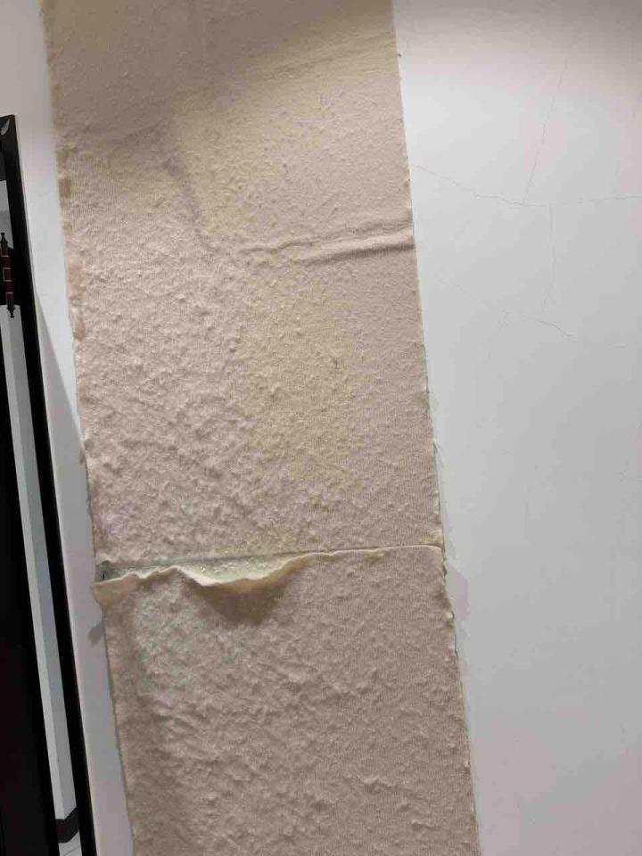 油漆工程案件圖片