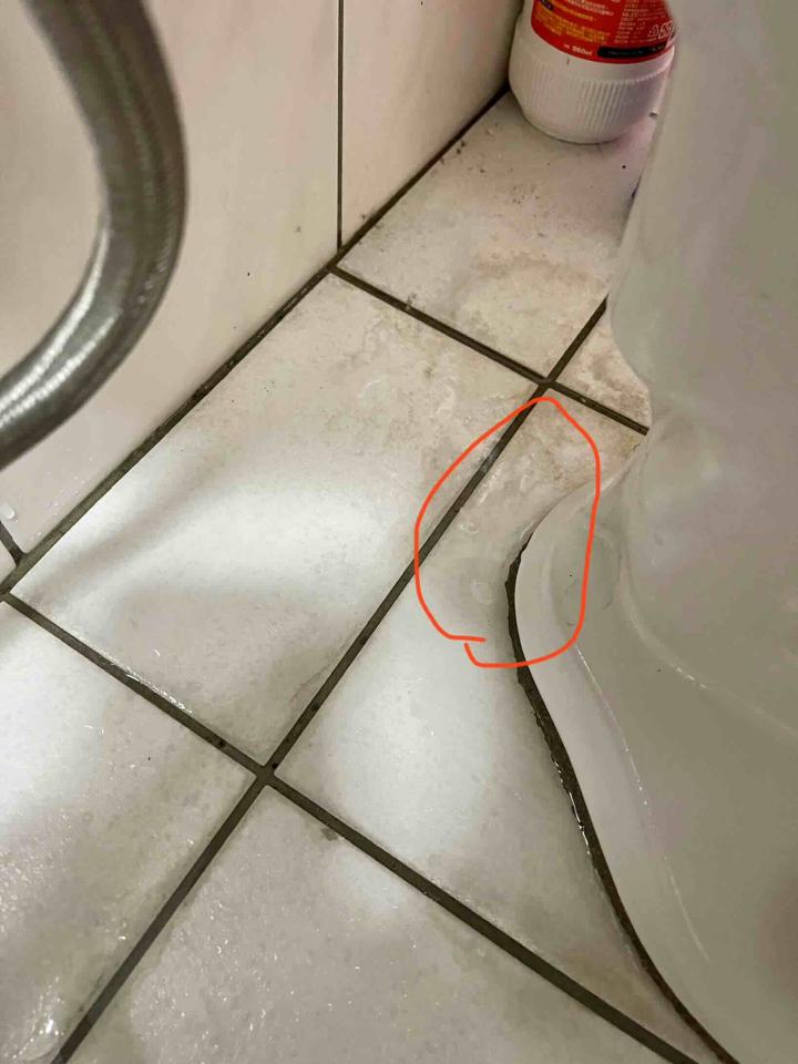 馬桶裝修案件圖片