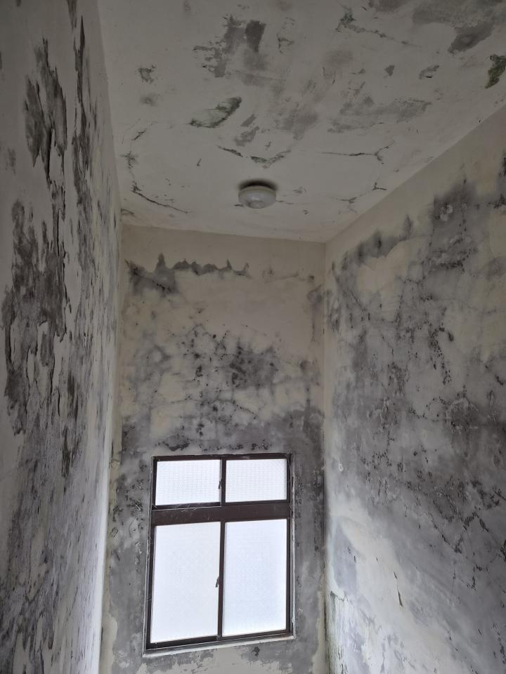 油漆工程案件圖片