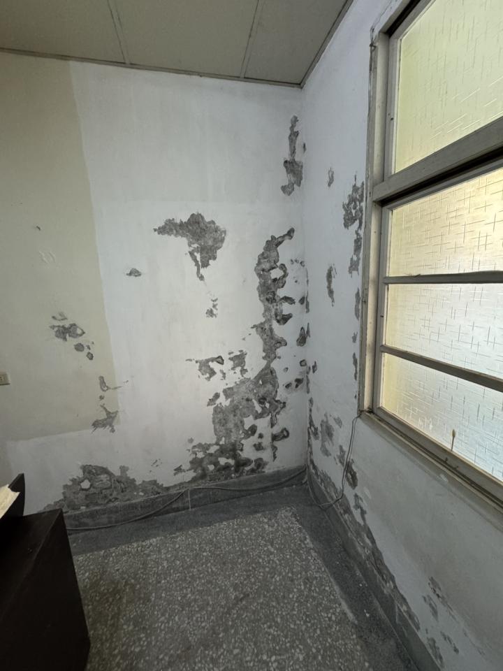 壁紙施工案件圖片