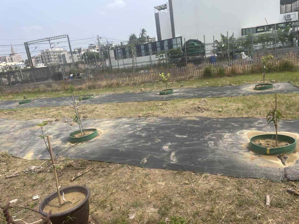 圍籬工程案件圖片