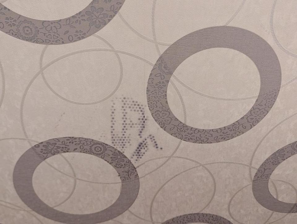 壁紙施工案件圖片