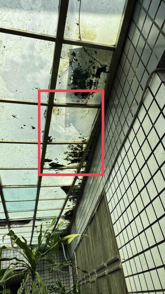 採光罩案件圖片