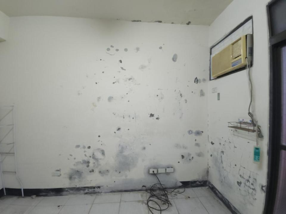 壁癌處理案件圖片