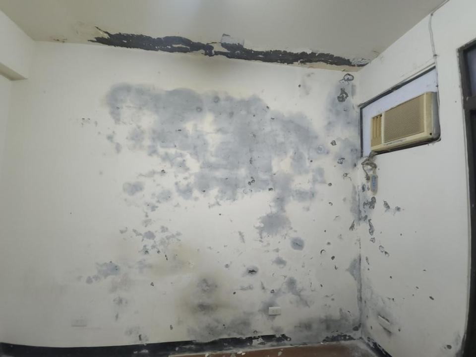 壁癌處理案件圖片