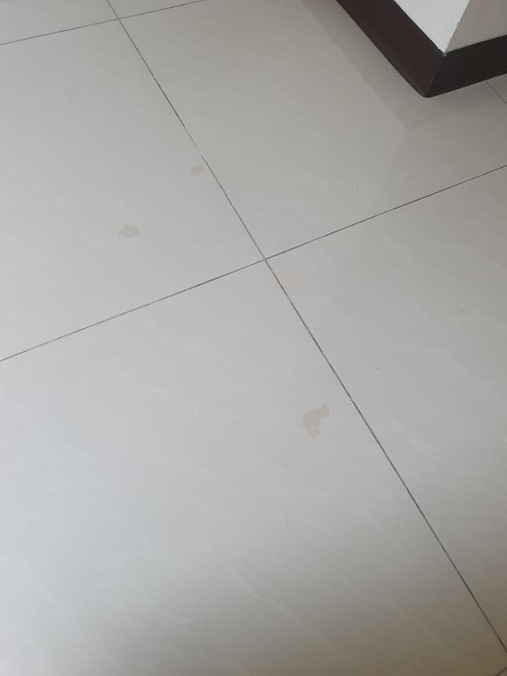 磁磚修補案件圖片