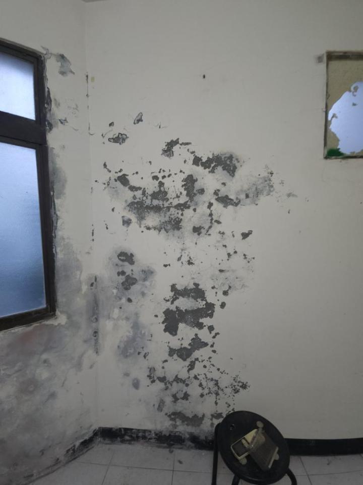 壁癌處理案件圖片