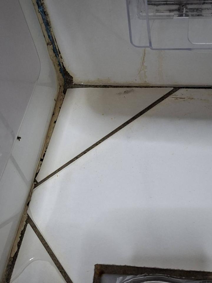 漏水處理案件圖片