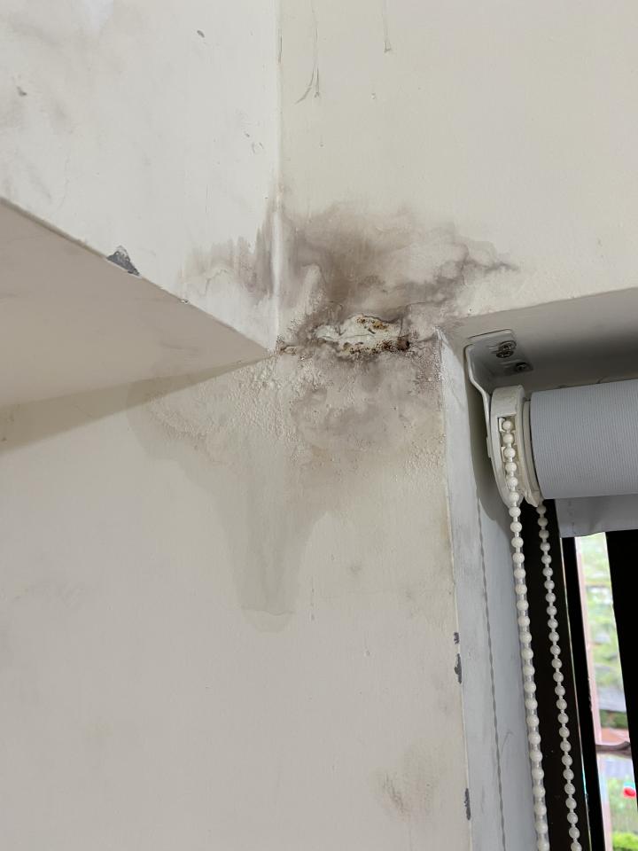 屋頂防水案件圖片