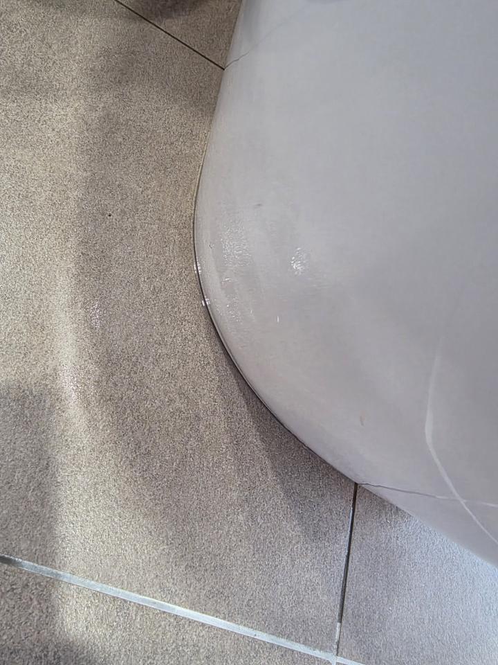 馬桶裝修案件圖片