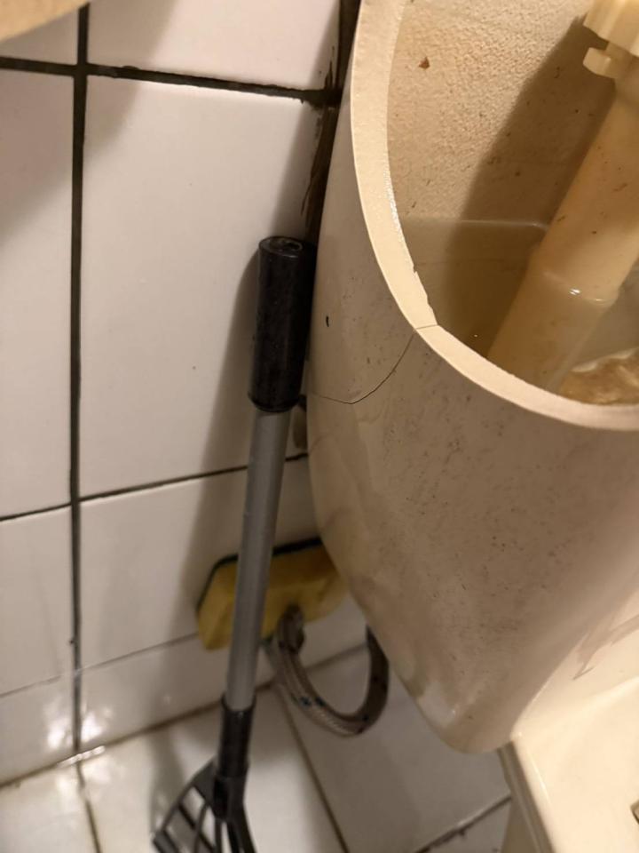 馬桶裝修案件圖片