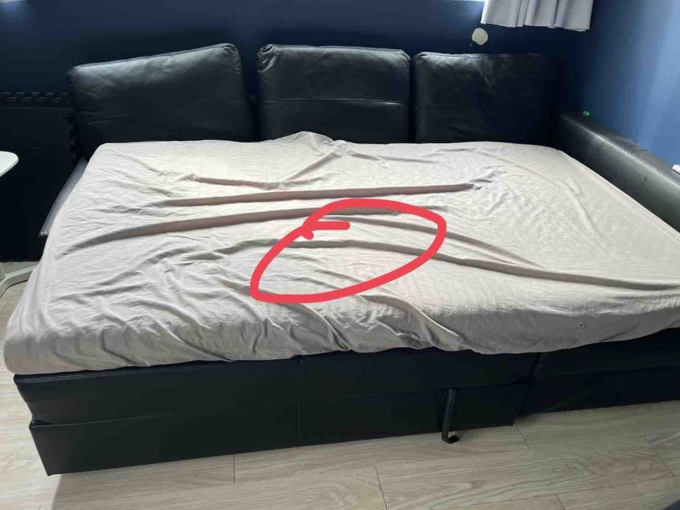 大型垃圾回收案件圖片