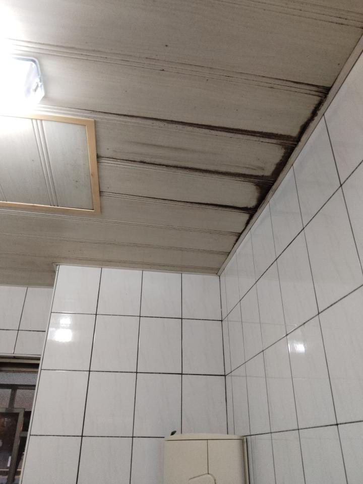 浴室翻新案件圖片