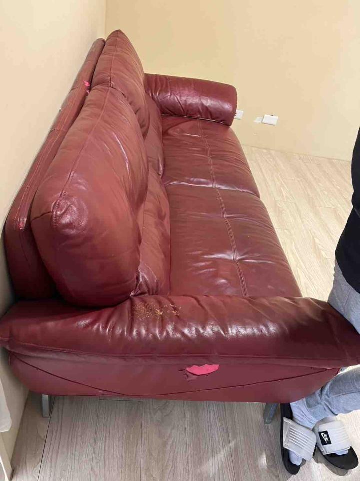 大型垃圾回收案件圖片