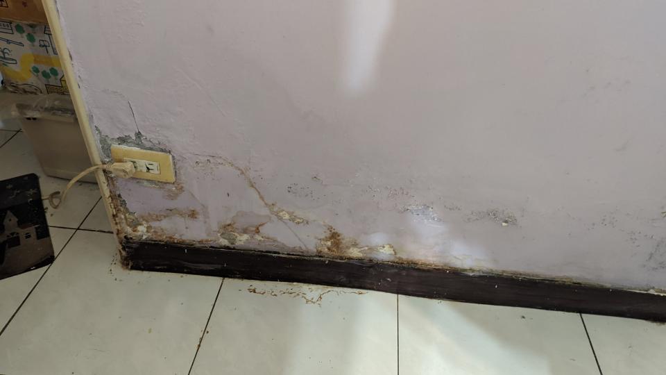 壁癌處理案件圖片