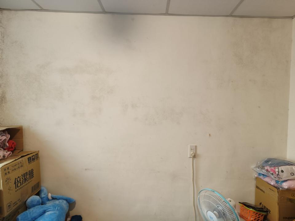 壁紙施工案件圖片