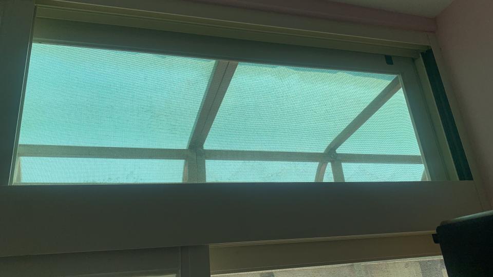 園藝維護案件圖片