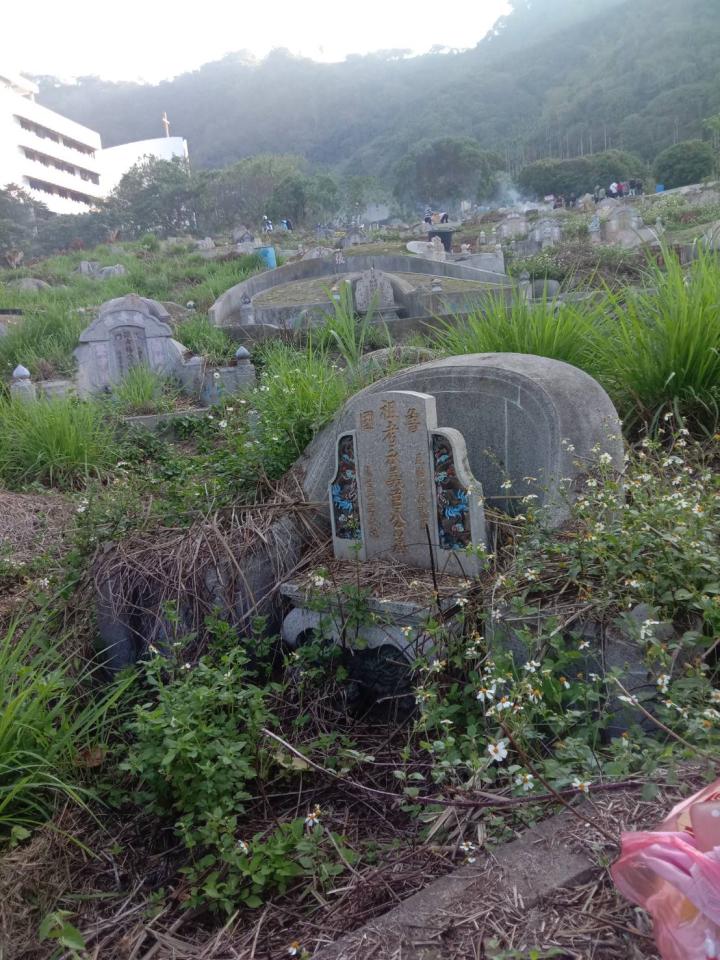 園藝維護案件圖片