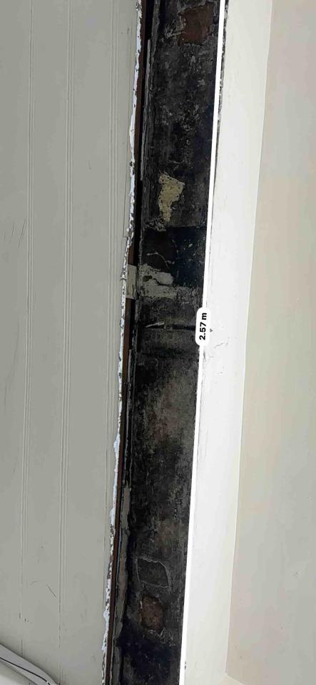 天花板設計案件圖片