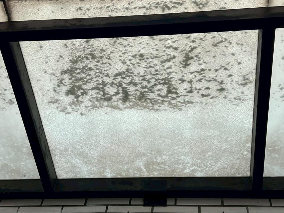 採光罩案件圖片