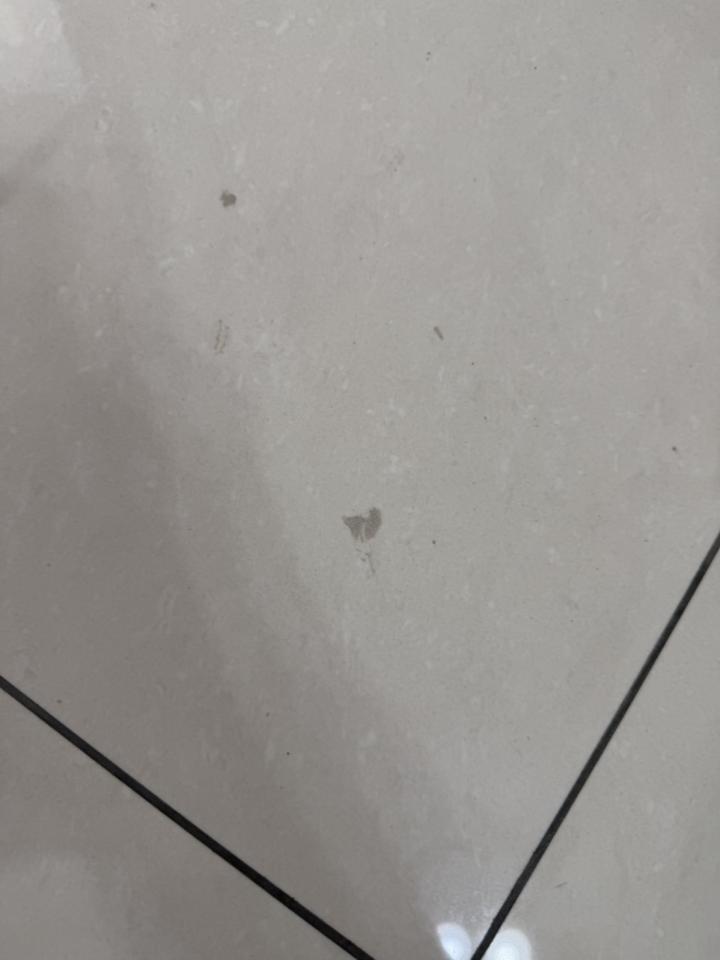 磁磚修補案件圖片