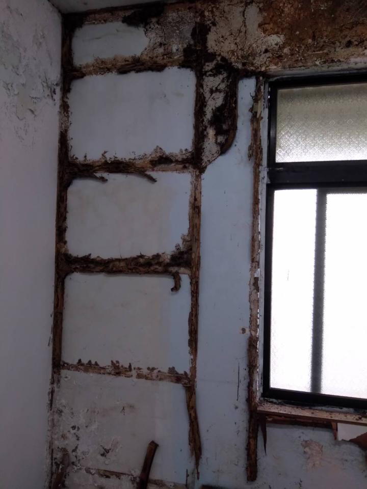 搬家清潔案件圖片