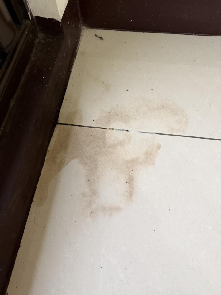 磁磚修補案件圖片