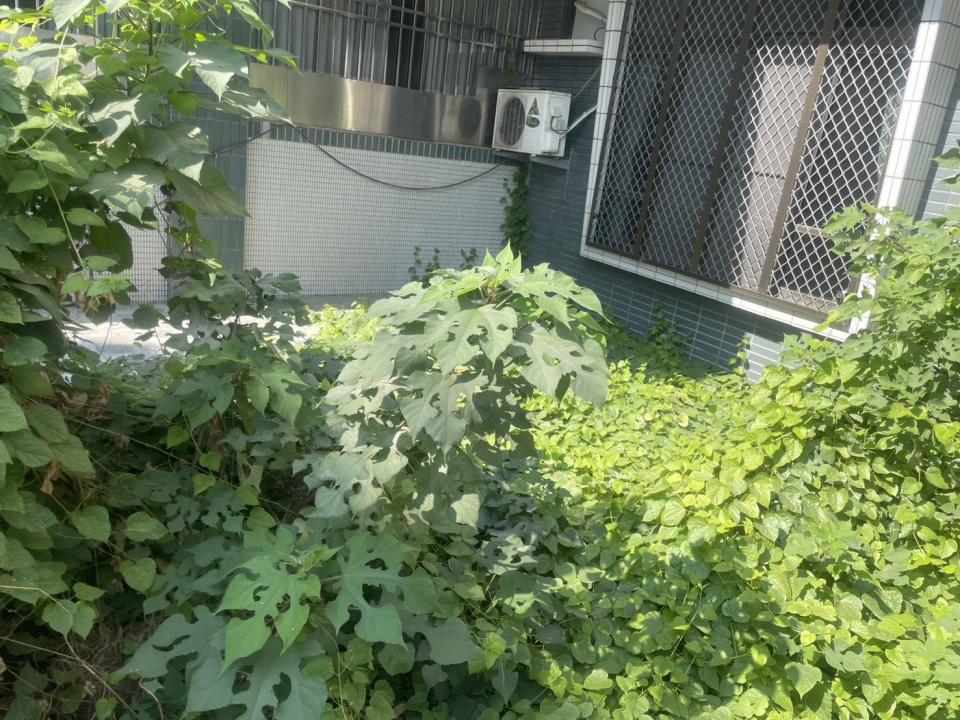 大型垃圾回收案件圖片