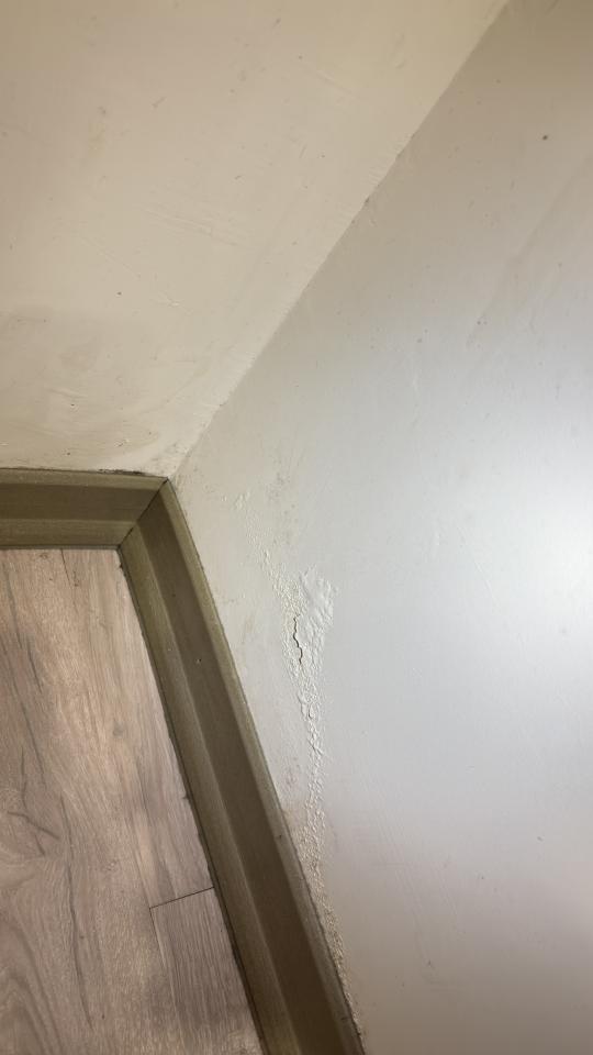 油漆工程案件圖片