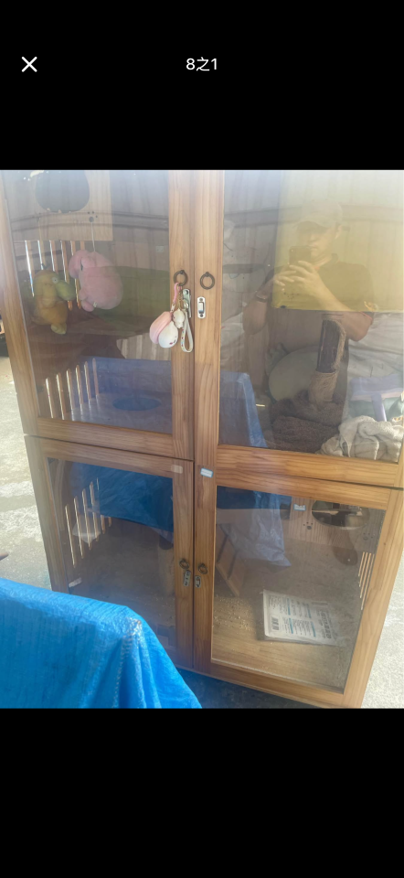 載貨運輸服務案件圖片