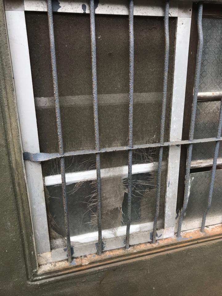 紗窗裝修案件圖片