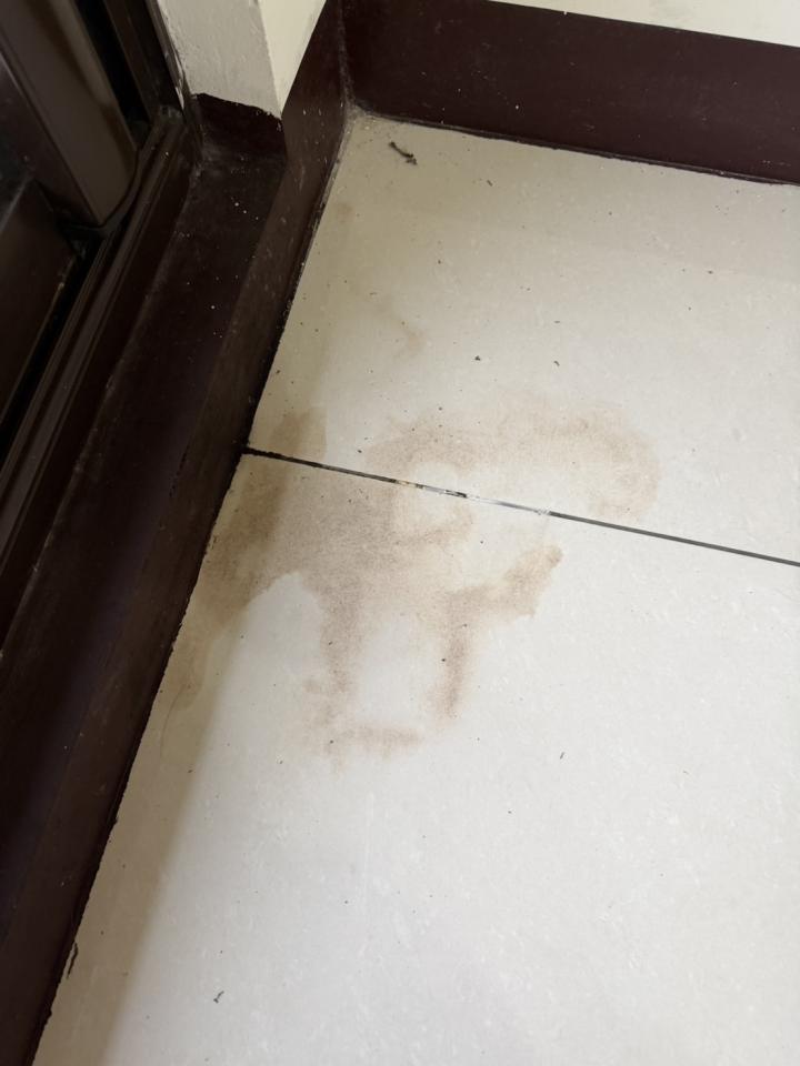 磁磚修補案件圖片