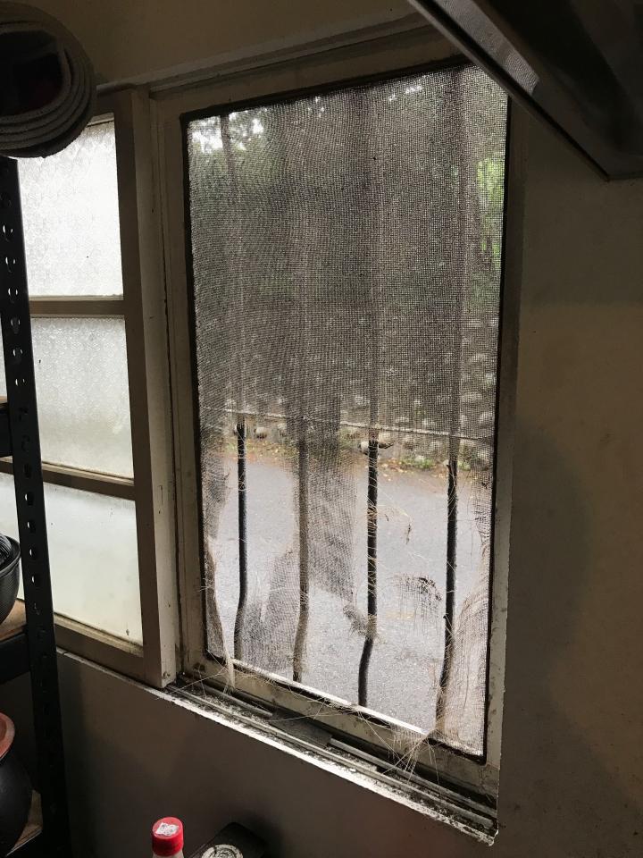 紗窗裝修案件圖片