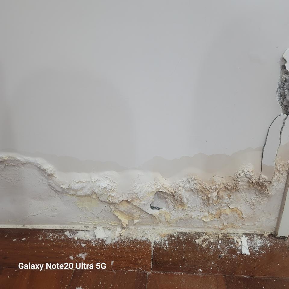 壁癌處理案件圖片