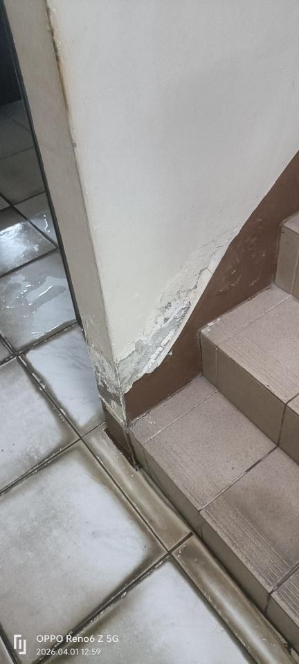 油漆工程案件圖片