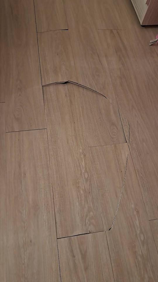 磁磚修補案件圖片