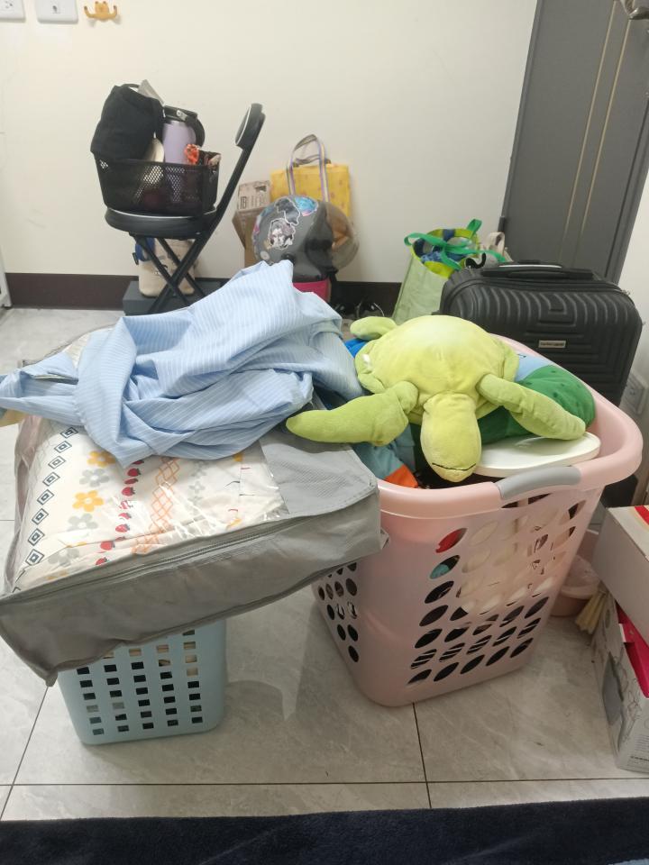 載貨運輸服務案件圖片