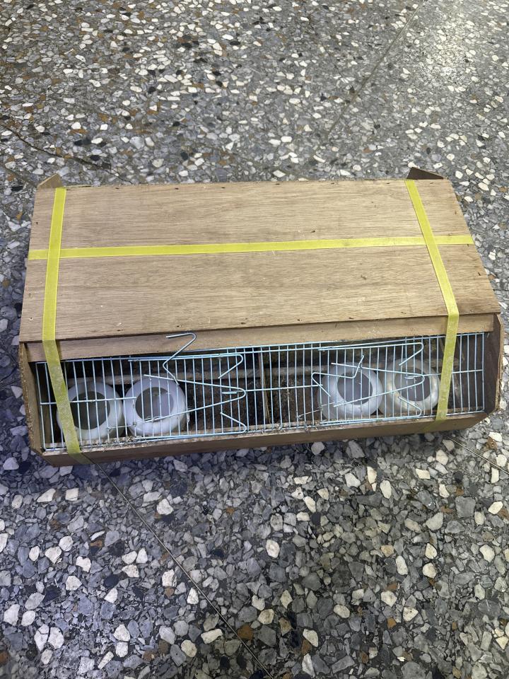 載貨運輸服務案件圖片