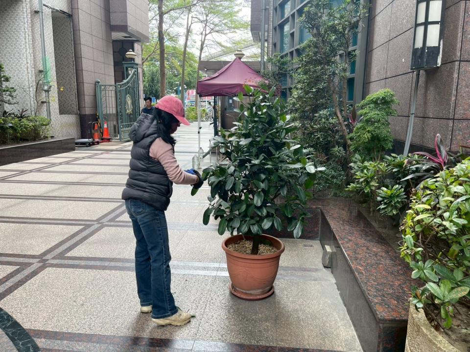 園藝維護案件圖片